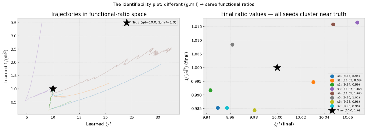 Identifiability plot: all eight seeds converge to the true ratios g/l and 1/(ml²) despite different individual parameters